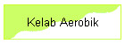 Kelab Aerobik
